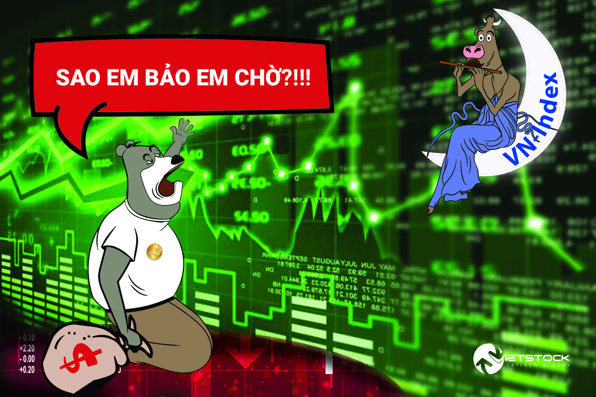 VN-Index tăng không ngoảnh lại!