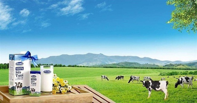 Bỏ 1 tỷ vào cổ phiếu VNM từ đầu năm 2021, bạn còn lại bao nhiêu?