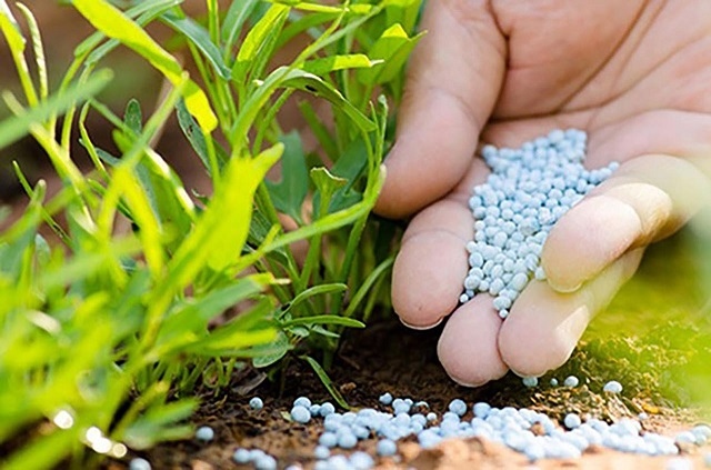 Giá cổ phiếu phân bón hóa chất nào 'tăng phi mã' từ đầu năm?