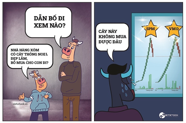 Cây thông Noel trên sàn chứng