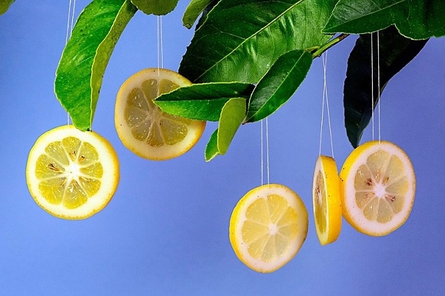 Thị trường Lemon là gì?