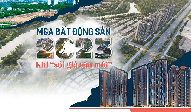 M&A bất động sản 2023: Khi “sói già săn mồi” 
