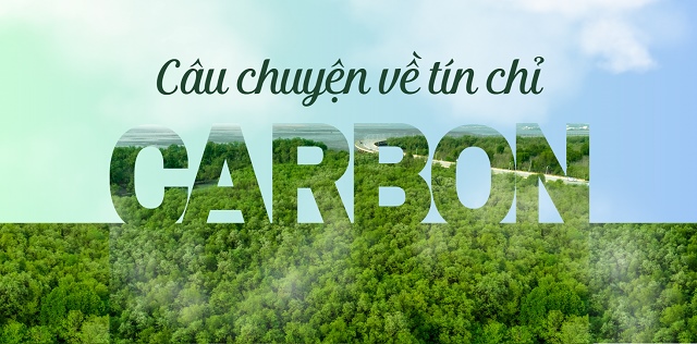 Câu chuyện về tín chỉ carbon: Góc nhìn từ đơn vị trung hòa phát thải từ bản chất
