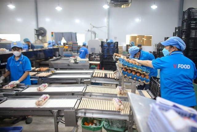90% công nhân tại các “thủ phủ” công nghiệp phía nam trở lại làm việc sau Tết- Ảnh 1.