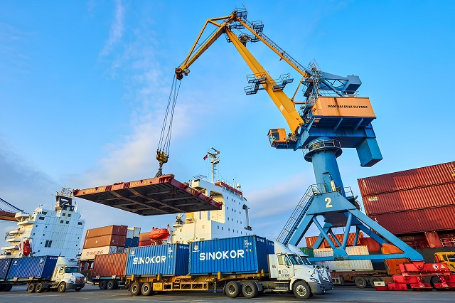 VSC tăng tốc nửa đầu 2025: Doanh thu, lợi nhuận cùng lập đỉnh mới | Fili