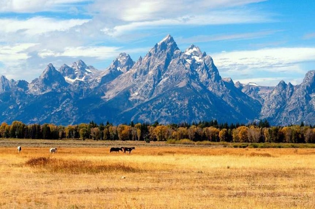 Vì đâu Hội nghị Jackson Hole được giới đầu tư theo dõi?