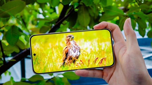 Đánh giá màn hình điện thoại Honor có thật sự tốt không?