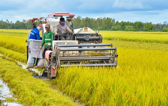 Kéo dài miễn thuế đất nông nghiệp đến 2030