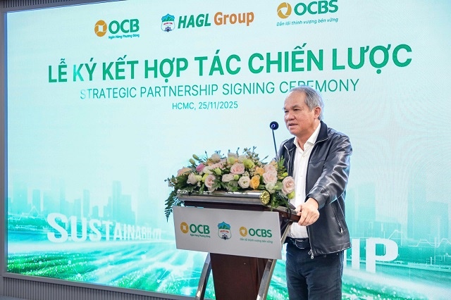 HAGL sau 10 năm "đại phẫu": Từ đỉnh nợ vay 36,000 tỷ đồng đến giấc mơ tỷ đô