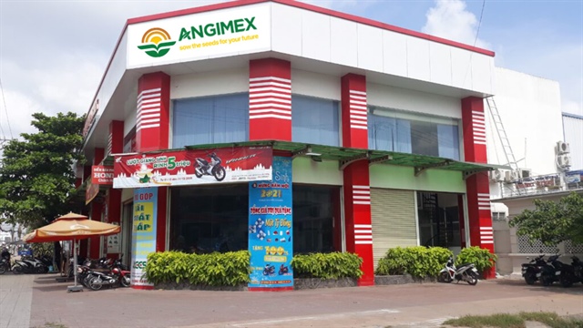Angimex bàn định hướng tái cấu trúc trong 2026, trình loạt phương án xử lý nợ hàng trăm tỷ