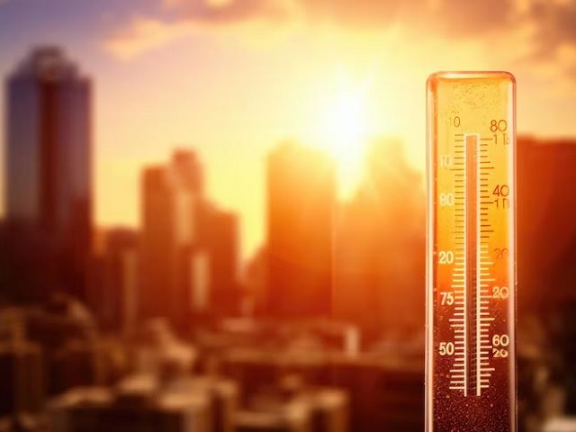 Hậu 1.5°C: Khi Net Zero không còn là tấm khiên bảo vệ duy nhất