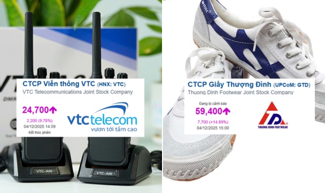 Hai cổ phiếu cùng lập chuỗi 12 phiên trần sau tin thoái vốn Nhà nước