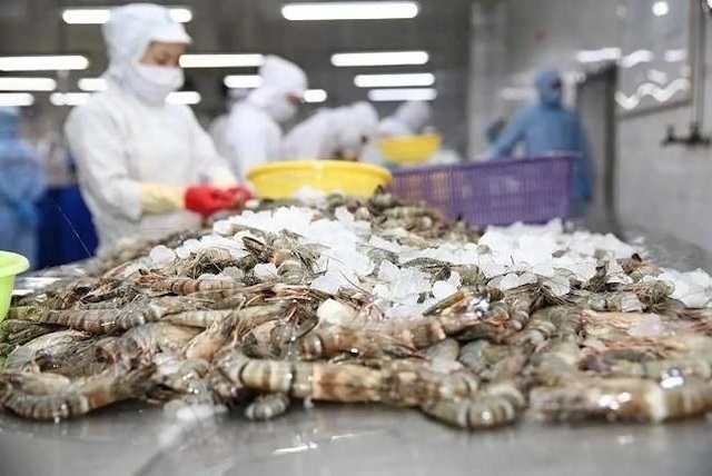 Xuất khẩu tôm năm 2025 lập kỷ lục