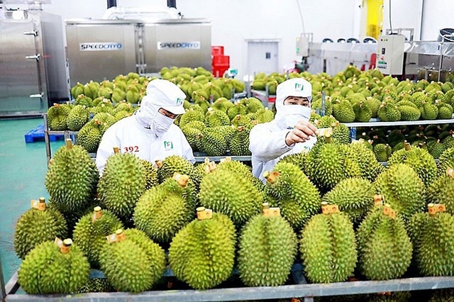 Xuất khẩu rau quả năm 2025 đạt kỷ lục 8.5 tỷ USD, cao nhất từ trước đến nay