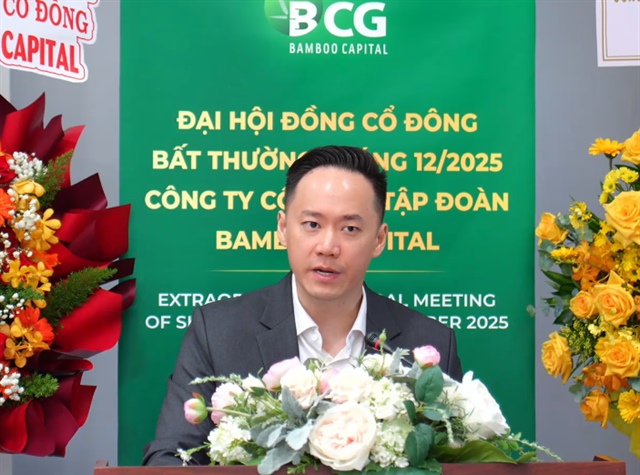 Chủ tịch Andy: BCG đang nỗ lực để không bị hủy niêm yết, dự kiến lỗ đến năm 2027 | Fili