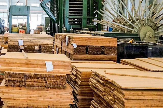 Một cá nhân được nhận thừa kế hơn 2.9 triệu cp SJF | Fili