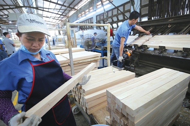 Ngành lâm nghiệp 2025: Vượt khó, giữ rừng, tăng trưởng cao