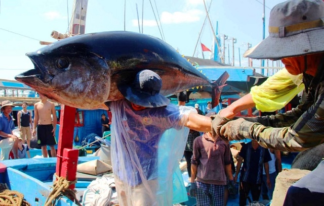 Khó khăn bủa vây ngành thủy sản