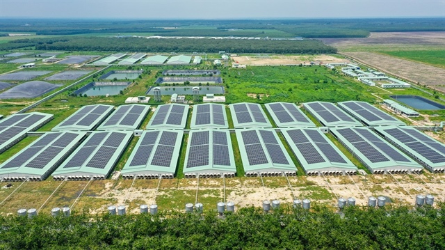“Heo ăn chay” BAF hoàn tất chào bán lô trái phiếu ngàn tỷ