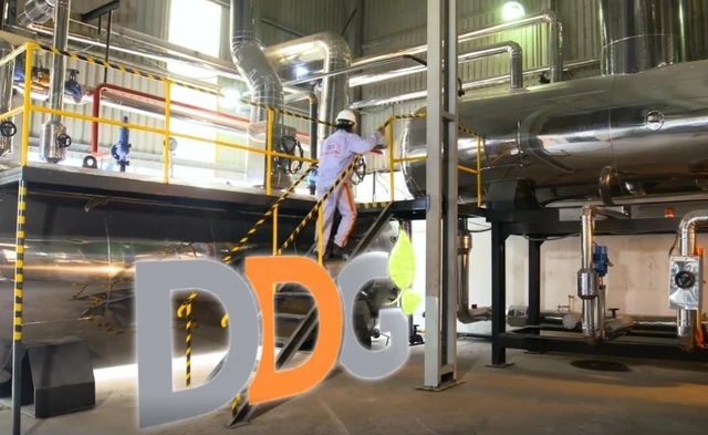 DDG nhận ý kiến ngoại trừ trên BCTC bán niên 2025, nhấn mạnh hệ số nợ tăng cao
