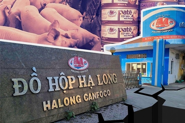 Chuyện 'heo bệnh' tại Halong Canfoco: Liệu một tượng đài có sụp đổ?