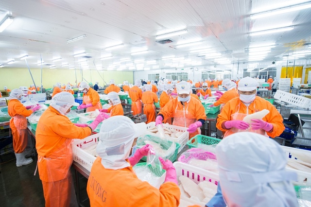 Phải thu của ANV phình to lên ngàn tỷ trong năm lợi nhuận tăng 20 lần
