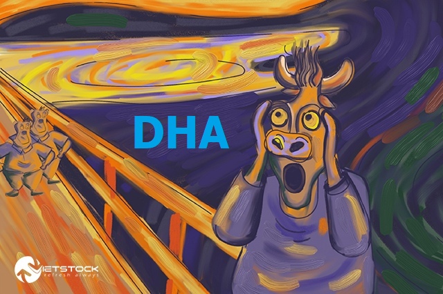 Cổ phiếu DHA “nằm sàn” dù báo lãi quý 4 gấp 2.5 lần