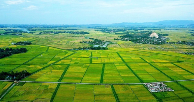 Chính phủ phân quyền mạnh hơn cho địa phương trong quản lý đất đai