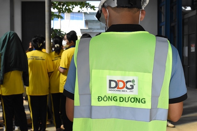 Quý 4 trắng doanh thu, DDG lỗ kỷ lục