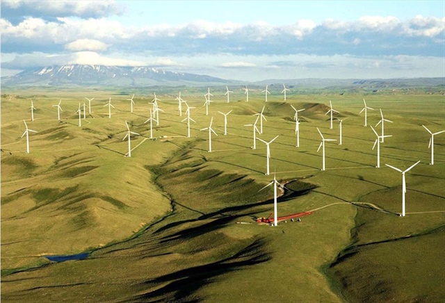 Dự án gọi đầu tư 31/01-06/02/2026: Gia Lai gọi đầu tư 4 nhà máy điện gió 166MW, vốn hơn 6.9 ngàn tỷ