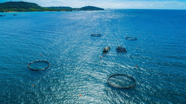 Góc nhìn đầu tư 2026: Ngành thủy sản - Cần động lực tăng trưởng mới (Kỳ 2)