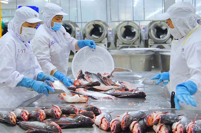 Thủy sản cuối 2025: Niềm vui không trọn vẹn