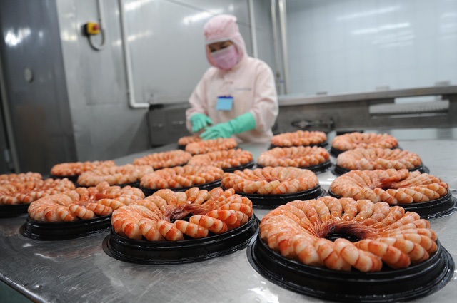 Xuất khẩu tôm năm 2026: Doanh nghiệp cần làm gì để tăng sức cạnh tranh và bứt phá?
