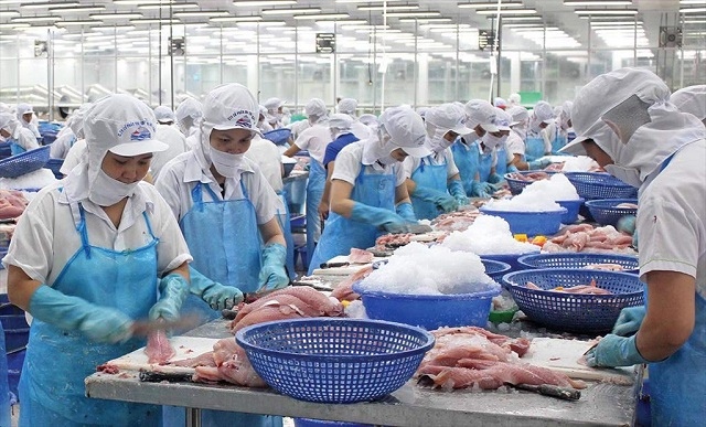 Xuất khẩu thủy sản năm 2026: Đẩy mạnh xuất khẩu chính ngạch, nâng cao giá trị gia tăng