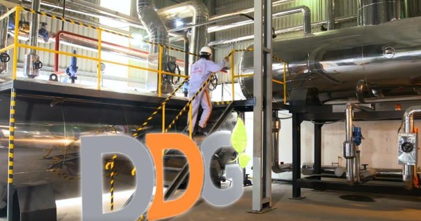 20 triệu cp chào bán riêng lẻ của DDG được chấp thuận niêm yết