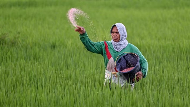 Chiến sự Iran đe dọa tới nguồn cung phân bón