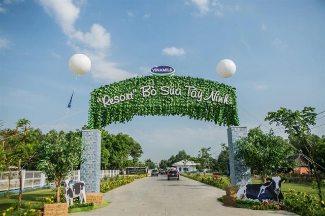 Trang trại bò sữa của VNM ở Tây Ninh tăng gấp đôi quy mô lên 16,000 con, dự kiến vận hành đầu 2028