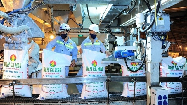 Đạm Cà Mau lên kế hoạch lợi nhuận 2026 giảm mạnh, cổ tức dự kiến còn một nửa