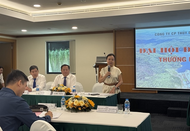 Bà Nguyễn Thị Mai Thanh (REE): VSH năm nay phải đặc biệt ưu tiên dự án điện mặt trời trên hồ