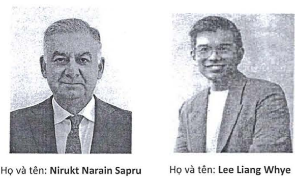 ĐHĐCĐ REE: Tập trung vào điện gió và điện mặt trời trên hồ