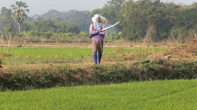 Hiệp hội Phân bón Quốc tế: Cú sốc nguồn cung hiện tại nghiêm trọng hơn cả năm 2022