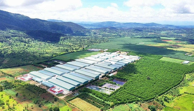 Ngân hàng đồng hành thúc đẩy kinh tế địa phương, ưu tiên phát triển bền vững