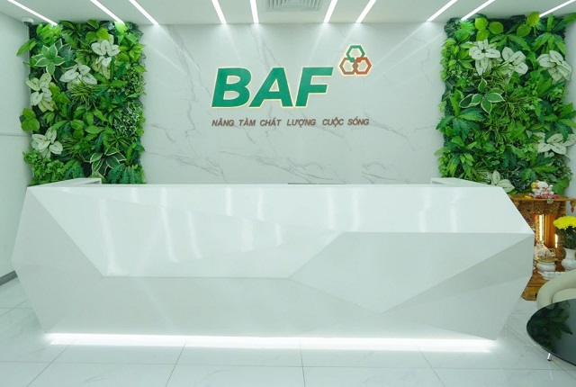 BAF đệ trình phương án chi trả cổ tức và phát hành cổ phiếu thưởng với tỷ lệ 20%