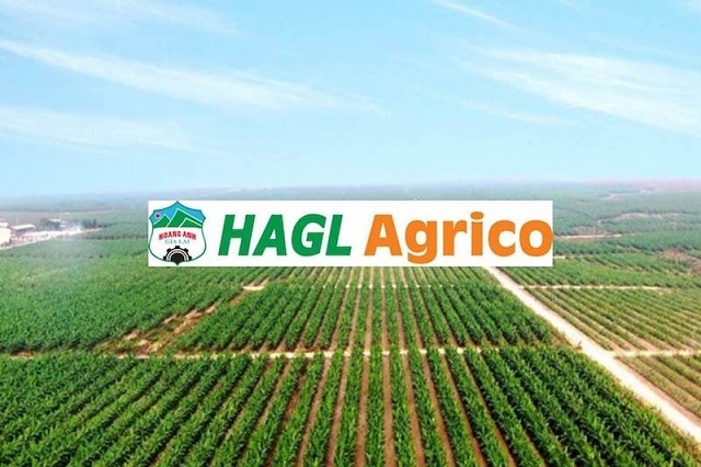 Loạt nhân sự Thaco vào HĐQT HAGL Agrico sau khi HAG thoái vốn