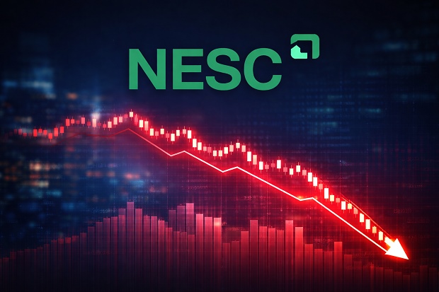 NESC lại có một quý trắng doanh thu, tăng vốn gần 8 lần sau khi về tay chủ mới