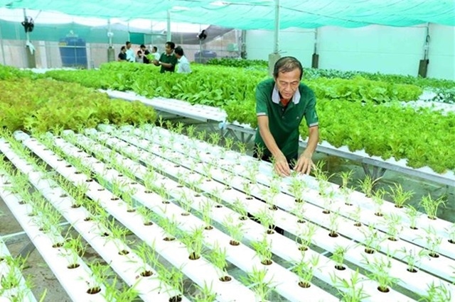 "Hàng rào xanh" của EU: Cần sự thay đổi tư duy của doanh nghiệp