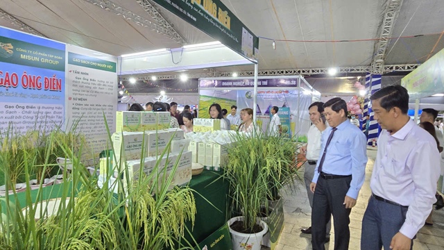 Cà Mau đẩy mạnh liên kết để nâng giá trị hạt gạo