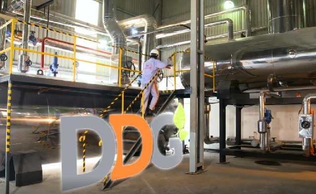 DDG giải trình về khả năng bị hủy niêm yết