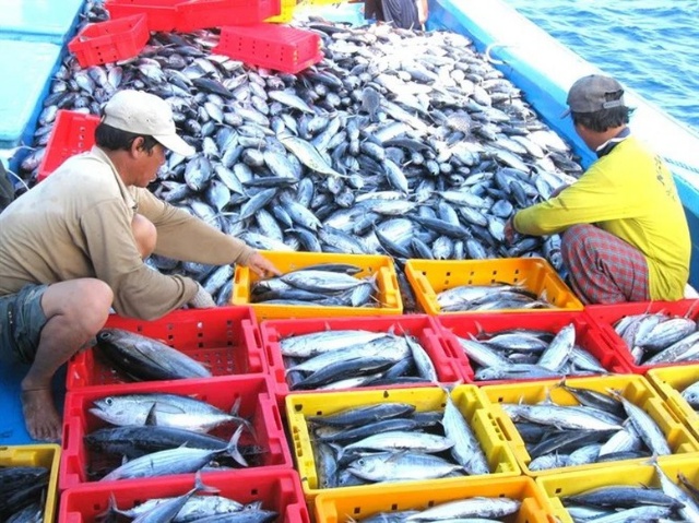 Giải điểm nghẽn giúp xuất khẩu nông sản vươn tới 100 tỷ USD