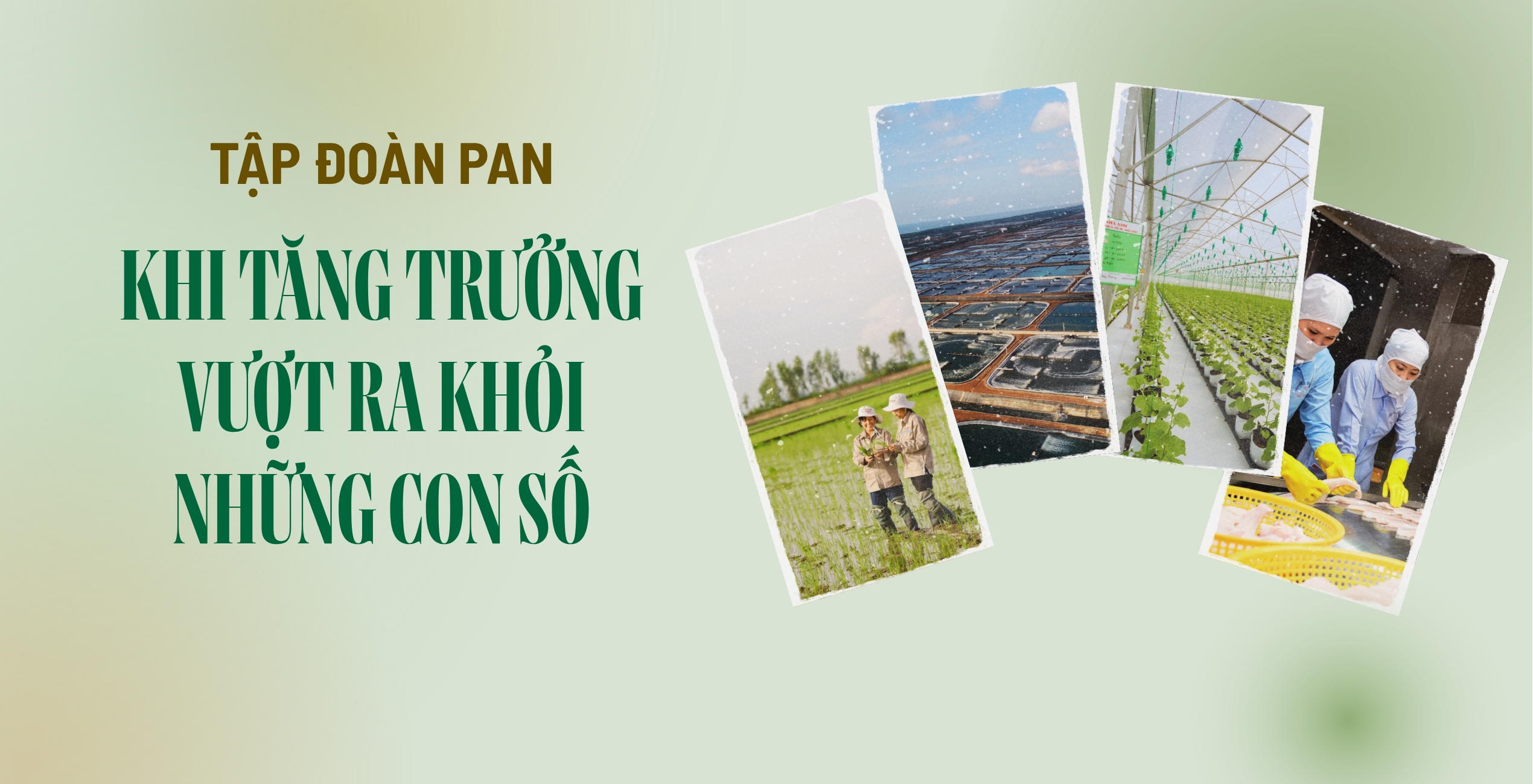 Tập đoàn PAN — Những con người phía sau tăng trưởng